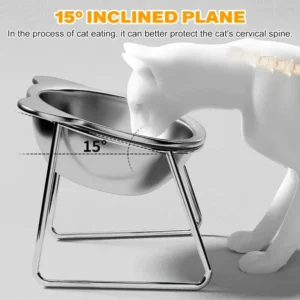 Slanted Stainless Steel Pet Bowl