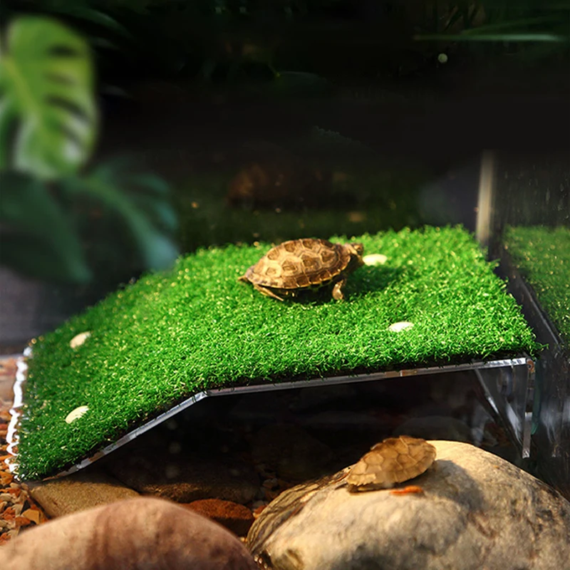 Turtle Platform Moss Ramp