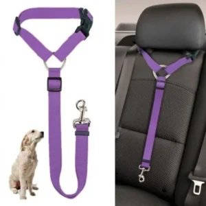 2-in-1 Pet Seat Belt