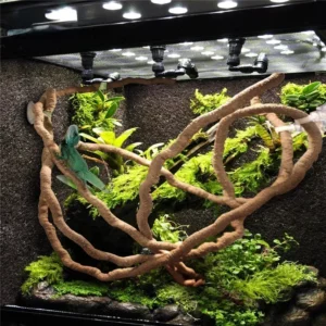 Flexible Rattan Terrarium Vines