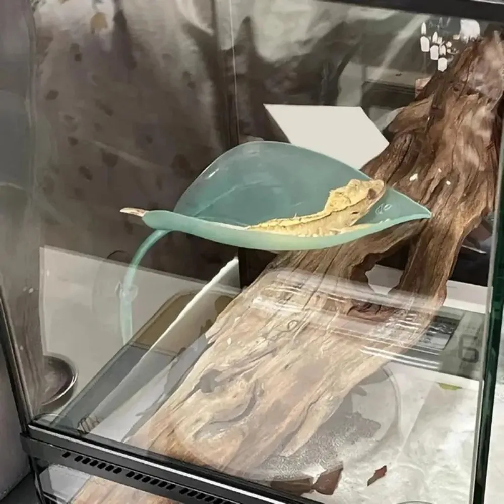 Frog Leaf Resting Terrace 3