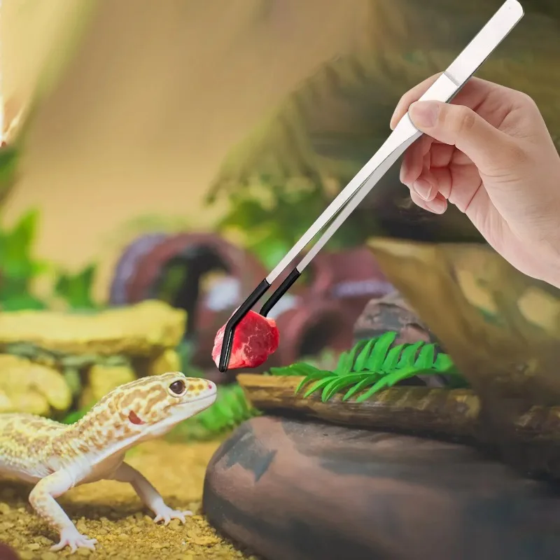 Bent Tip Tweezers Set 4