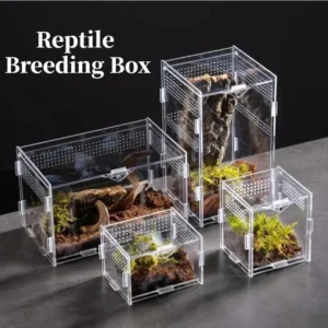Acrylic Reptile Habitat Box